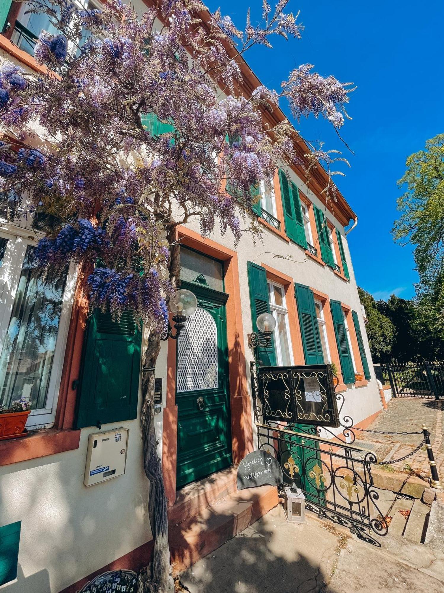 Hotel Tillmanns Eltville am Rhein Dış mekan fotoğraf